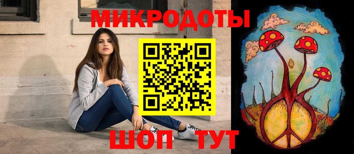 Северск  Галлюциногенные грибы Psilocybe  Вход с VPN  Псилоцибиновые грибы мицелий 