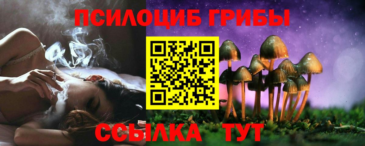 Галлюциногенные грибы Cubensis Северск